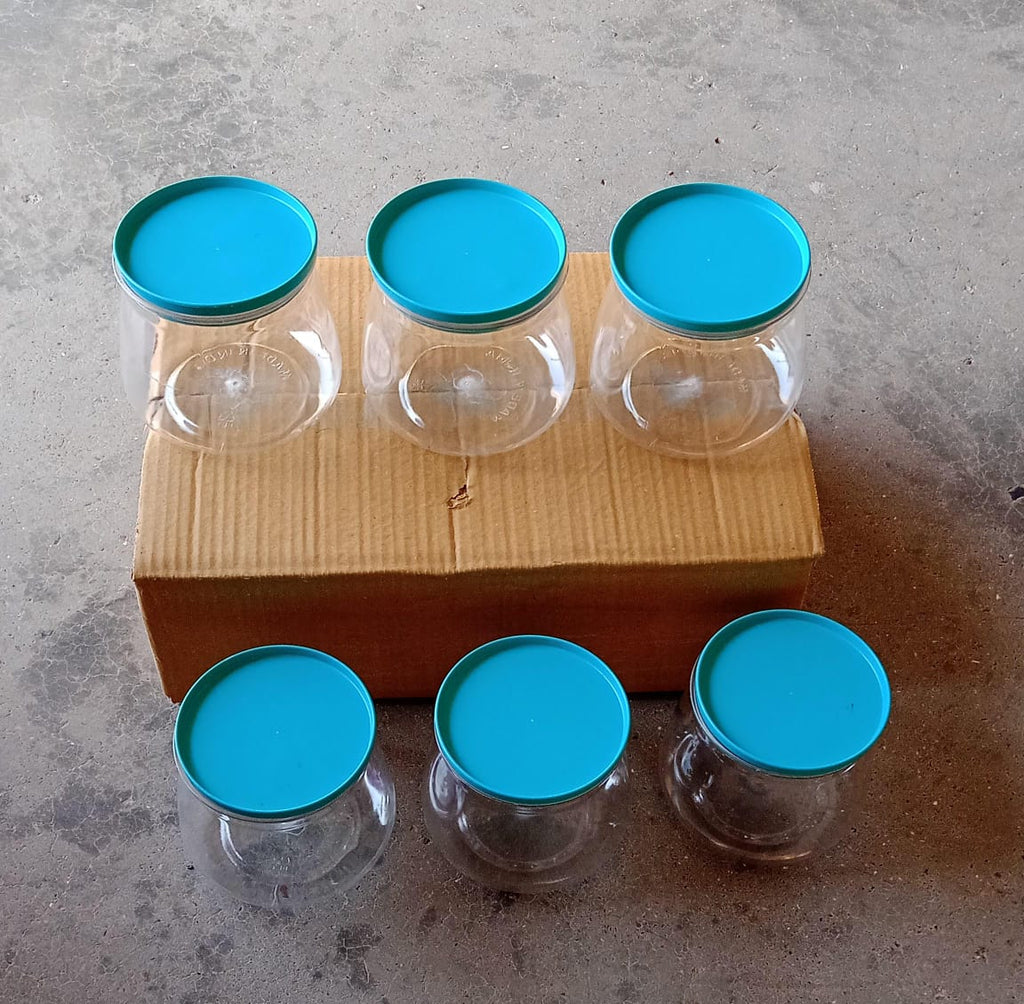 ALVENZA Airtight Storage Jars – Matka Shape, 900ml Set of 6 | Velvet Wheels