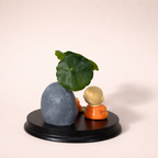 ALVENZA Zen Monk Showpiece – Lucky Money Frog with Mini Planter Decor