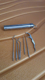 Stainless Steel Toothpick Set – 7-in-1 Portable Dental Kit | AuriGlam