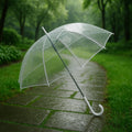  Transparent Dome Umbrella – Windproof with Comfortable Curved Handle - Detail 1