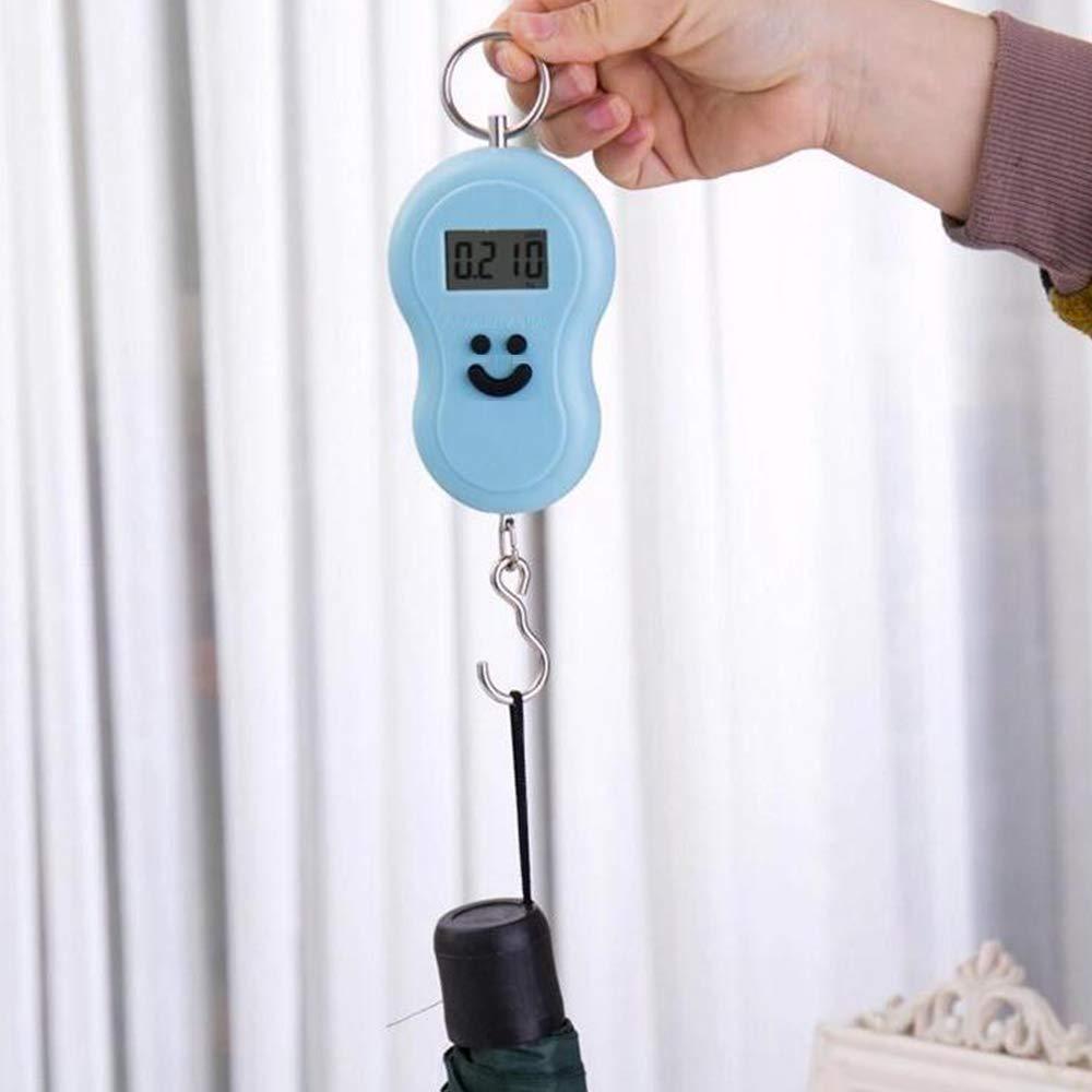  Digital Weighing Scale – Portable 40kg Pocket Scale | ALVENZA - Detail 1