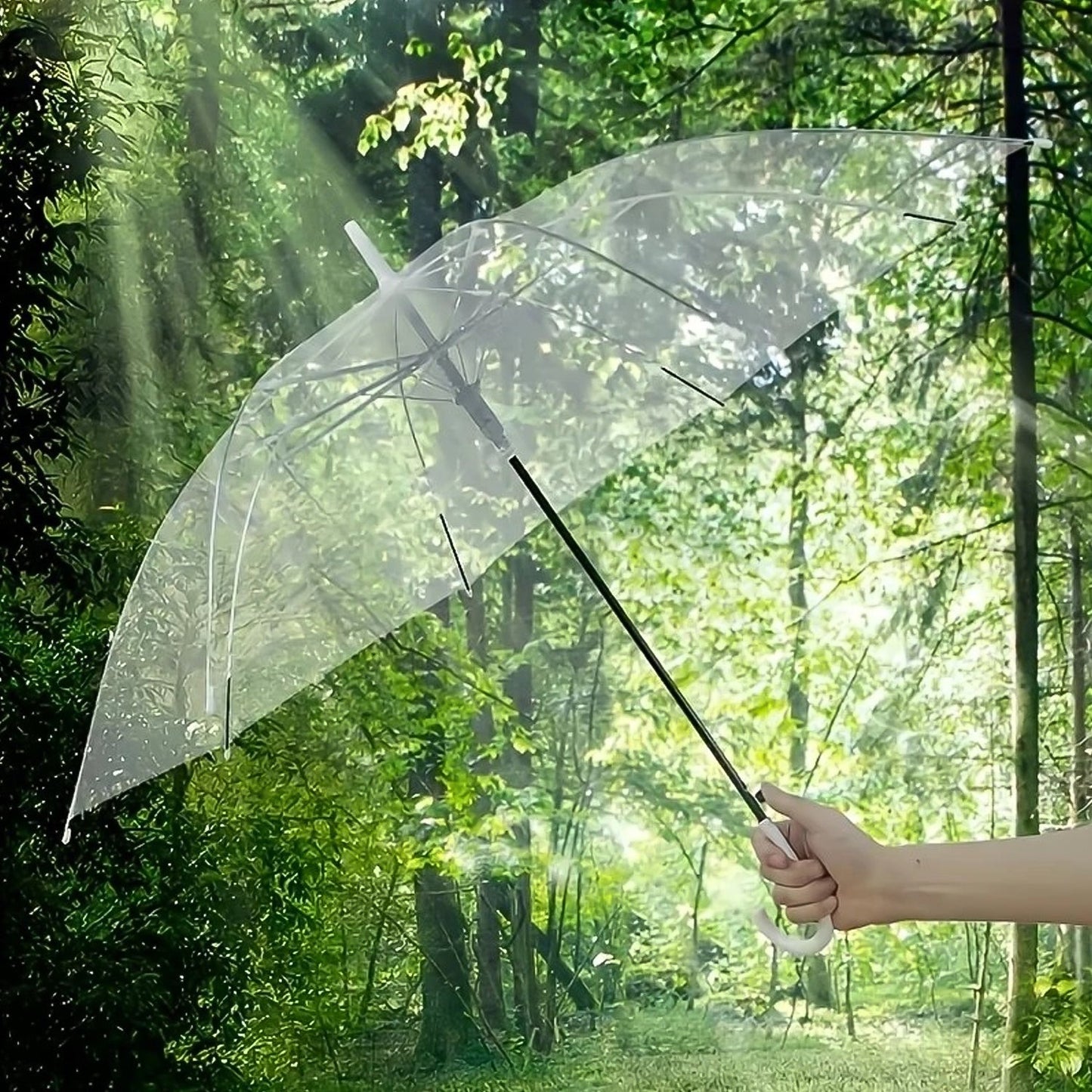  Transparent Dome Umbrella – Windproof with Comfortable Curved Handle - Detail 3