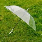  Transparent Dome Umbrella – Windproof with Comfortable Curved Handle - Detail 4