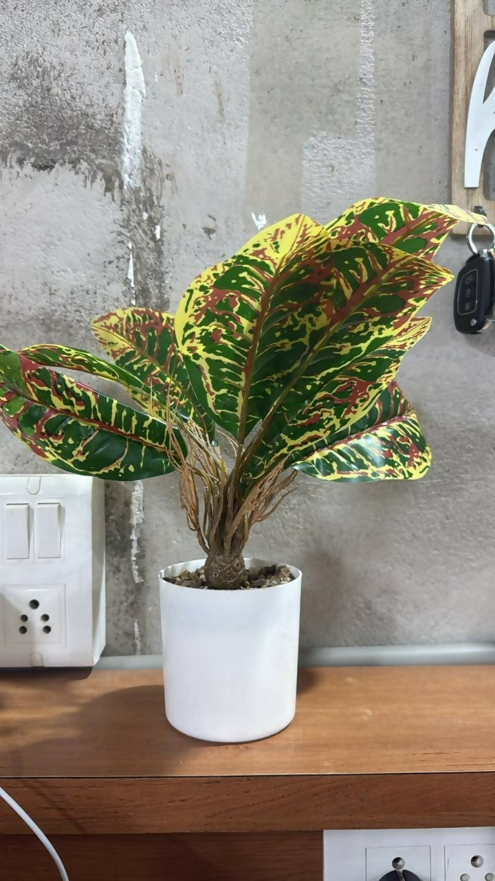 ALVENZA Artificial Leaf Plant – Low Maintenance Home & Office Decor