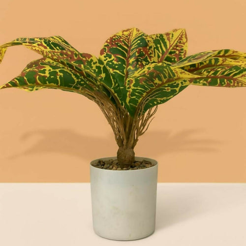 ALVENZA Artificial Leaf Plant – Low Maintenance Home & Office Decor