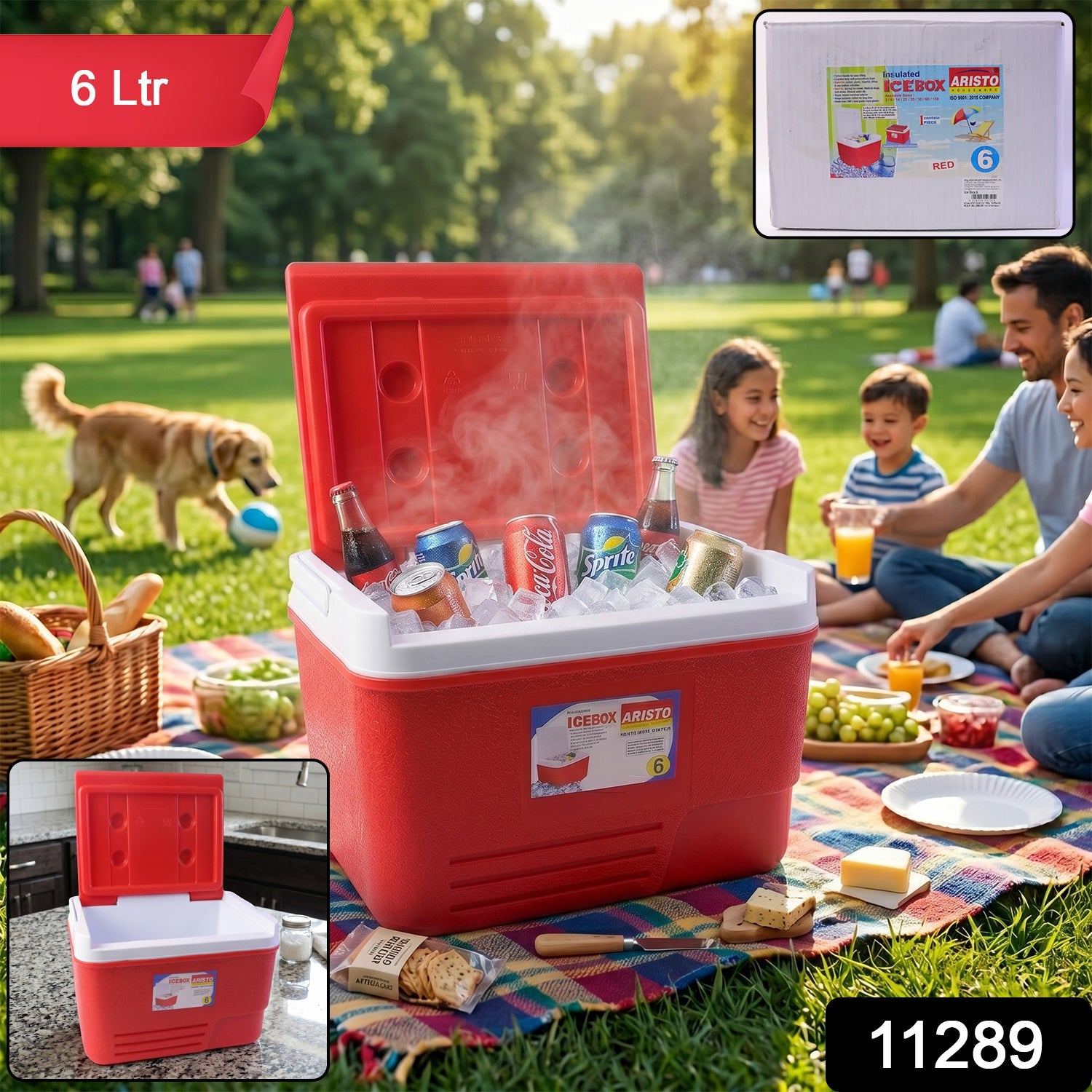 ALVENZA Heavy Duty Ice Box Cooler – 6 Ltr Travel & Outdoor Use